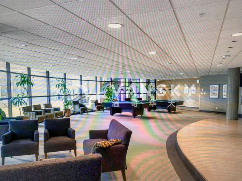 251229115159_lions outside 4.jpg